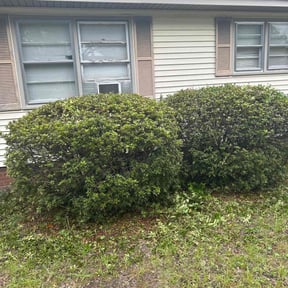 grass maintenance by Home Care by The Beach LLC reviewed on August 2, 2025