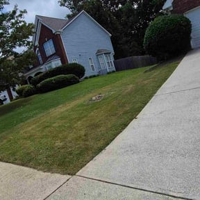 Bush Trimming by Cutting Edge Lawn Care reviewed on November 21, 2025