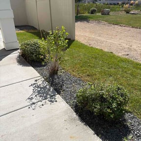 Bush Trimming by Electrifying lawn care reviewed on September 14, 2026