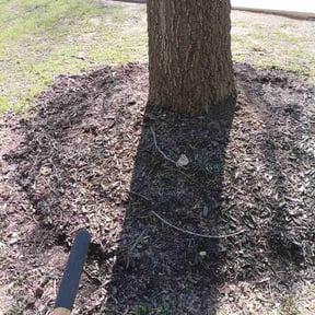 Flower Bed Weeding by Manicure Lawn Care reviewed on March 27, 2026