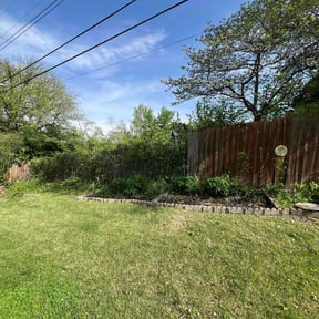Bush Trimming by Davis Designs LLC/ Lawn Care Division reviewed on August 18, 2025
