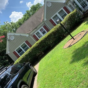 Bush Trimming by NATIONALYARDWORK.COM reviewed on August 18, 2025