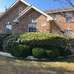 Bush Trimming by Better Price Lawn Service of Central Florida, LLC reviewed on August 16, 2025