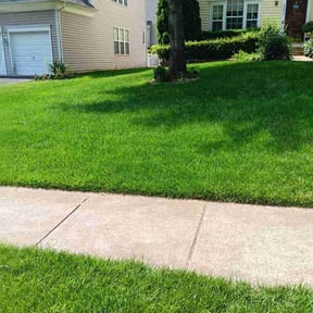 yard care by Lawns Murcia Landscaping reviewed on November 24, 2025