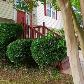 Bush Trimming by Helping Hands LLC reviewed on December 3, 2025