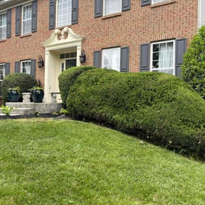 lawn service by CRP Landscape reviewed on June 4, 2025