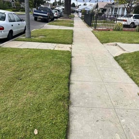 lawn care by BJ Mowing LLC reviewed on May 14, 2024