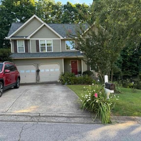 yard care by Mitchell Johnson reviewed on September 5, 2024