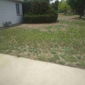 Leaf Removal by J.C. Lawn Service reviewed on July 2, 2026