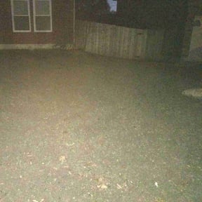 Leaf Removal by Joshua&#039;s landscaping reviewed on September 26, 2025