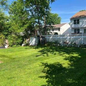 landscaping services by C & T Lawn Service reviewed on August 18, 2025