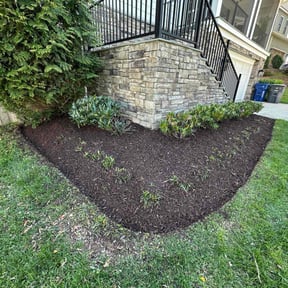 Mulching by AFL Lawn Care reviewed on August 18, 2025