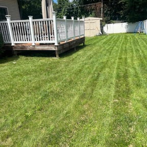 turf care by Sleezo landscaping reviewed on May 12, 2024