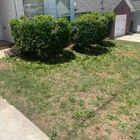 Bush Trimming by Simpkin Lawn Care reviewed on May 19, 2026