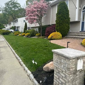 grass maintenance by Adrian landscaping reviewed on June 14, 2025