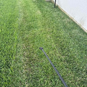 Flower Bed Weeding by S-A-S Lawns N More reviewed on November 8, 2025