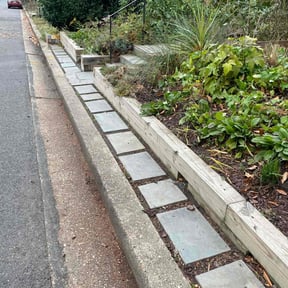 Leaf Removal by The Green Op reviewed on September 21, 2025