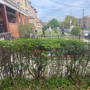 Bush Trimming by Marvin's Services LLC reviewed on August 15, 2025