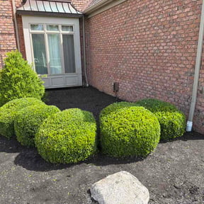 Bush Trimming by Breezeway Express LLC reviewed on May 8, 2026