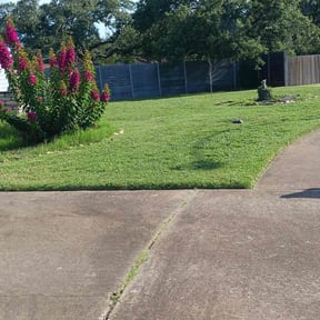 landscaping by Green Looks reviewed on July 13, 2022