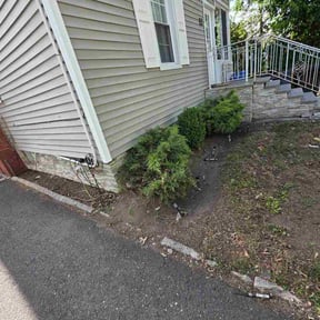 Leaf Removal by Mike's lawn Care reviewed on June 24, 2026