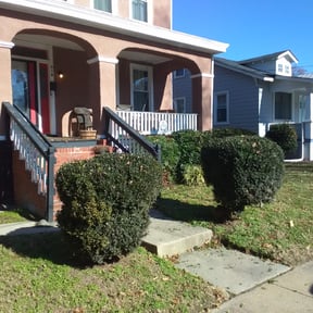 Bush Trimming by S&D lawn and trash services reviewed on August 15, 2025