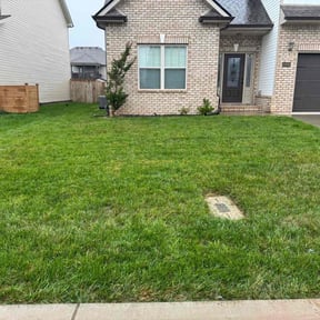 gardening service by Straightlines LLC reviewed on December 4, 2025