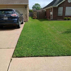lawn maintenance by OTG Services reviewed on August 27, 2020