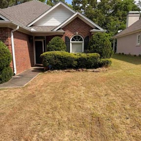 Bush Trimming by Doug's Lawn Care reviewed on April 30, 2026