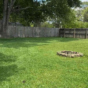 yard service by Cuts reviewed on August 20, 2025