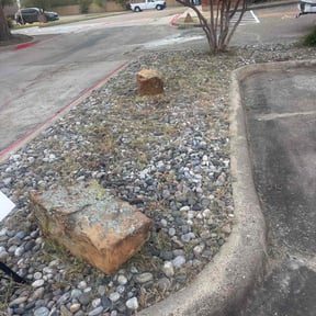 Flower Bed Weeding by AYS Lawncare reviewed on November 8, 2025