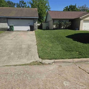 yard maintenance by Max Ledesma reviewed on November 21, 2025