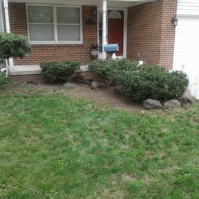 Bush Trimming by A1 grass cutting &amp; landscaping reviewed on August 17, 2025