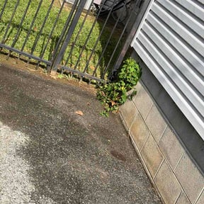 Bush Trimming by Cabarrus Lawn Co. reviewed on August 28, 2026