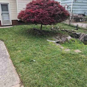 Bush Trimming by MAP Lawn Care reviewed on May 18, 2026