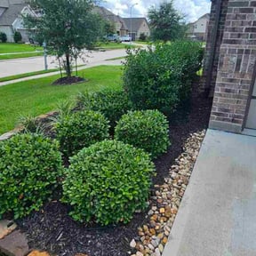 Flower Bed Weeding by Stephen&#039;s Lawns reviewed on November 24, 2023