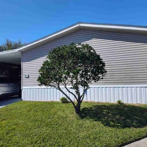 Bush Trimming by Andre Kirk reviewed on August 17, 2025