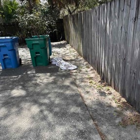 Leaf Removal by LSG LLC reviewed on March 5, 2026