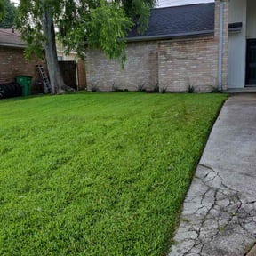 yard service by New Beginning Landscape & Remodel LLC reviewed on August 19, 2025