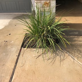 Flower Bed Weeding by JA Performance Outdoor Services reviewed on August 17, 2025