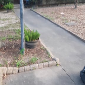 Leaf Removal by Service Pros reviewed on September 19, 2025