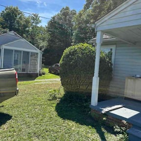 Bush Trimming by Bo's lawn care reviewed on July 31, 2026