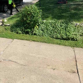 Bush Trimming by Budget Cut Lawn Service reviewed on July 9, 2026