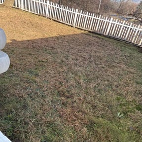 Leaf Removal by Lush Lawns reviewed on December 22, 2025