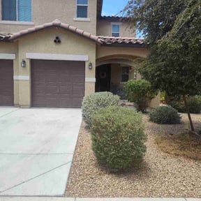 Bush Trimming by TruGreen LawnCare reviewed on July 10, 2026