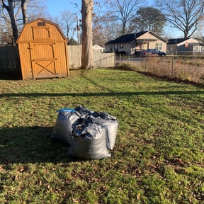 Leaf Removal by LawnGoals reviewed on June 25, 2020