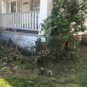 Flower Bed Weeding by Philly Got Grass reviewed on August 19, 2025