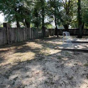 Leaf Removal by Type A Lawn Guy reviewed on June 30, 2026