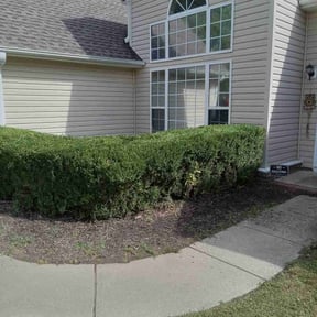 Bush Trimming by Covering Ground Maintenance Co. reviewed on August 17, 2025