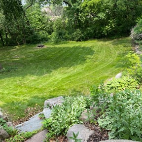 landscaping by Bc lawncare reviewed on July 21, 2022